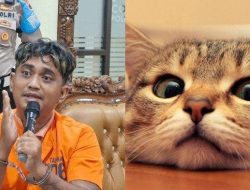 Viral! Kesal karena Mobilnya Dikencingi dan Dibuat Lecet, Pria di Kelapa Gading Tembak Mati Seekor Kucing