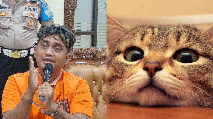 Viral! Kesal karena Mobilnya Dikencingi dan Dibuat Lecet, Pria di Kelapa Gading Tembak Mati Seekor Kucing