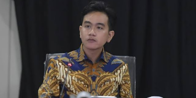 Banyak Persoalan, Publik Pertanyakan Peran Gibran