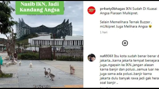 Viral di Medsos, Segerombolan Bebek Berkeliaran di IKN, Netizen: Itu Ternak Mulyono