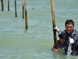 Duka Anggota TNI AL Bongkar Pagar Laut di Pesisir Tangerang, Tersengat Ikan Pari hingga Kail Pancing