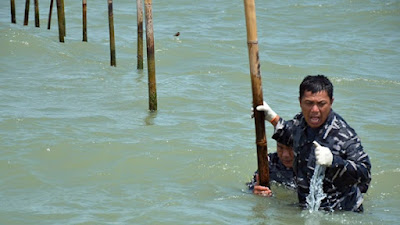 Duka Anggota TNI AL Bongkar Pagar Laut di Pesisir Tangerang, Tersengat Ikan Pari hingga Kail Pancing