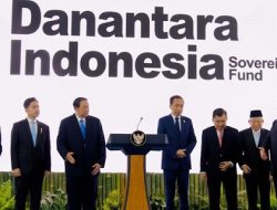 Danantara: Panduan untuk Orang Idiot