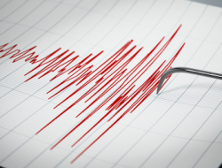 Gempa Magnitudo 6,0 Guncang Maluku Tenggara, Tak Berpotensi Tsunami