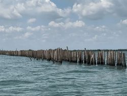 Waduh! Faktanya Pagar Laut di Kohod Masih Berdiri Tegak, Nelayan Kecewa Merasa Dibohongi