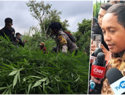 Menhut Raja Juli Bantah Stafnya Terlibat dalam Penanaman Ladang Ganja di TN Bromo