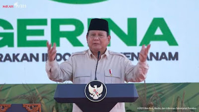 Stok Melimpah, Prabowo Berencana Kirim Beras ke Negara Lain dengan Harga Terjangkau