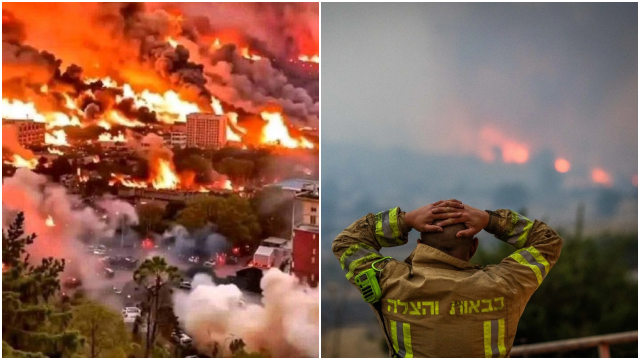 Israel Dilanda Kebakaran Terbesar Sepanjang Sejarah, Tel Aviv Minta Bantuan Internasional