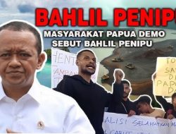TERKUAK! Raja Ampat Bukan Korban Tunggal, Trend Asia Temukan 35 Pulau Kecil Terancam Rusak Akibat Tambang