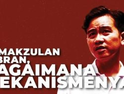 Menarik! Pengamat Beberkan Tiga Skenario Yang Bisa Buat Gibran Lengser Dari Kursi Wapres