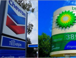 PBB Rilis Daftar Penyokong Genosida Israel di Palestina, Ternyata Ada BP dan Chevron