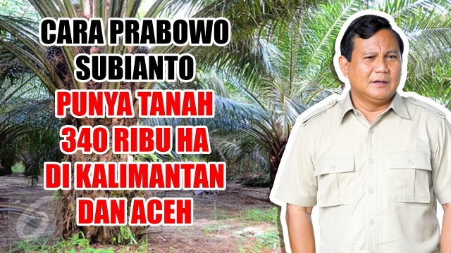 WOW! Sinar Mas, Jhonlin hingga Keluarga Prabowo Disebut Ikut Kuasai Separuh Lahan Bersertifikat RI