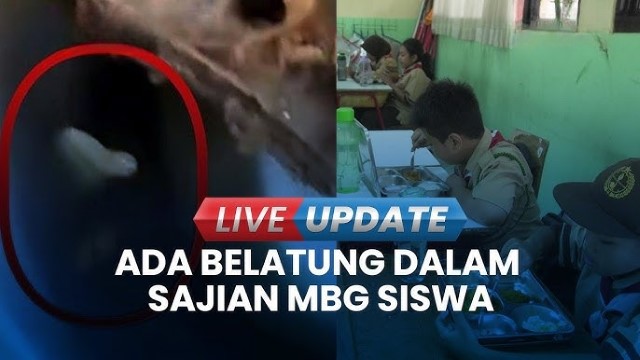 HEBOH Lauk Ayam MBG Ada Belatung Bikin Para Siswa Mual, Respons BGN: Cuma 4 Dari 3.400 Porsi Yang Terkontaminasi