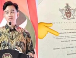 Benarkah IPK Gibran Cuma 2,3? Begini Perhitungannya Berdasarkan Sistem Pendidikan Internasional