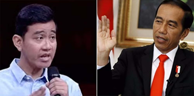 Selamat Ginting: Jokowi Ingin Gibran Berada di Radar Kekuasaan Hingga 2034