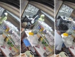 Warkop di Tanah Abang Diserang Geng Motor Bersenjata, Pemilik dan Karyawan Ditembak
