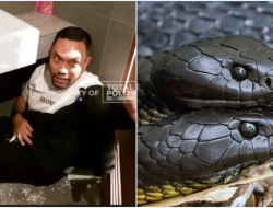 Sahroni: Anak Gue Dibully Karena Hoaks Black Mamba