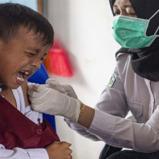 Vaksin TBC Gratis BPOM: Benarkah Indonesia Cuma Kelinci Percobaan? Ini Fakta Mengejutkannya