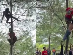 Viral! Momen Warga Selamatkan Pria Mabuk yang Panjat dan Tertidur di Atas Pohon, Endingnya Sesuai Harapan
