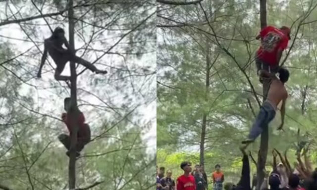 Viral Pria Mabuk di Kebumen Tidur di Pohon, Endingnya Dilempar ke Kolam!