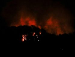 Minyak Jelantah: Senjata Rahasia Indonesia Hentikan Impor Solar & Taklukan Petrodolar