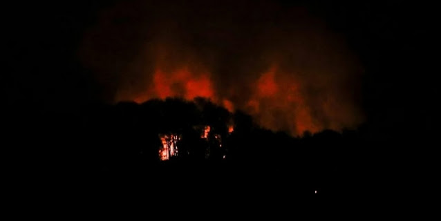 Minyak Jelantah: Senjata Rahasia Indonesia Hentikan Impor Solar & Taklukan Petrodolar