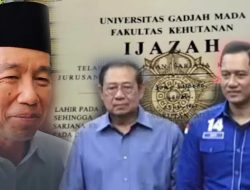 Partai Demokrat Laporkan 4 Akun Pendukung Jokowi: Maaf Tak Cukup, Proses Hukum Tetap Berjalan