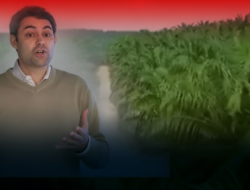 Korupsi Tambang & Sawit Rp186,48 Triliun: Modus Bocornya Uang Negara Akhirnya Terbongkar!