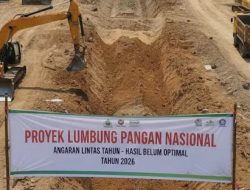 Anggaran 2025 Dipakai 2024: Ini Daftar Mengerikan Kerugian Negara dari Proyek Lumbung Pangan
