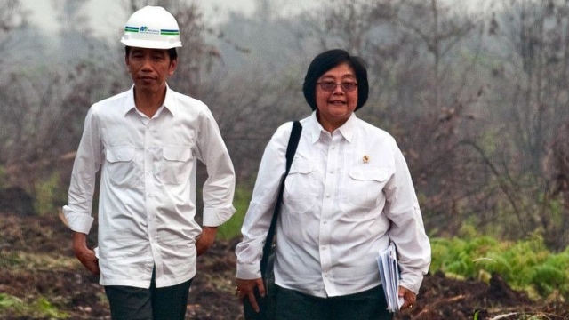 Skandal Rp 450 Triliun! Siti Nurbaya & Misteri Pemutihan Sawit Ilegal Terbongkar