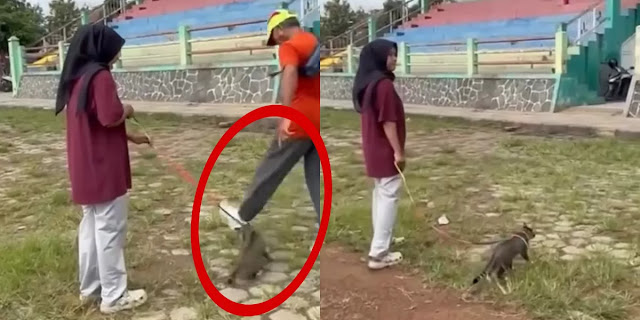 Pria Pensiunan & Lawyer Ditendang Kucing Sampai Mati di Blora, Ini Identitas dan Motifnya yang Mengejutkan!