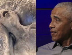 Obama Bongkar Fakta Alien: Pernyataan Viral vs Klarifikasi Mengejutkan