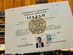 Misteri Ijazah Jokowi Terkuak: Fakta Mengejutkan dari Sidang PN Solo yang Bikin Heboh!