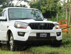 Impor 105.000 Pikap India: Mengapa Kapasitas Produksi Nasional 400.000 Unit/Tahun Tak Dimanfaatkan?