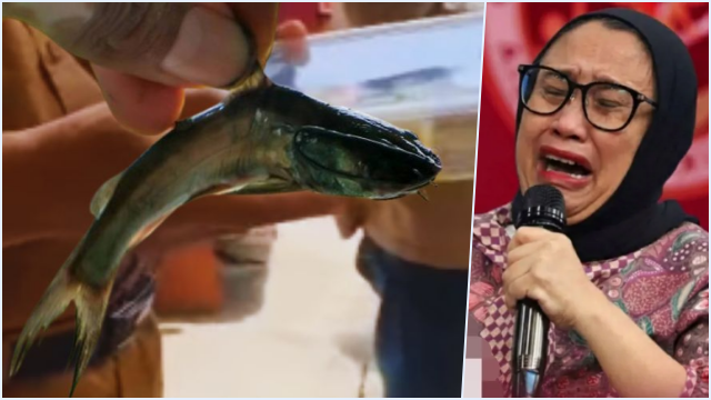 Fakta Lele Marinasi di Pamekasan: Bukan Mentah, Ternyata Ini Strategi Cerdas Ahli Gizi!