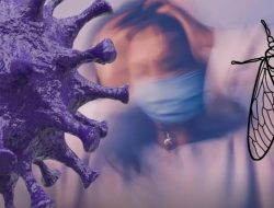 Waspada! Covid Cicada BA.3.2 Sudah di 23 Negara: Ini Gejala & Potensi Masuk Indonesia