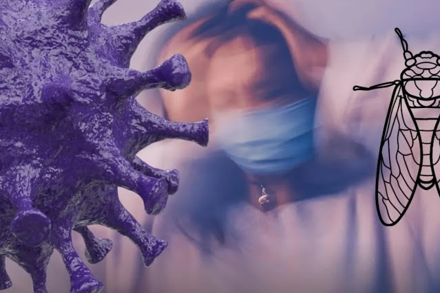 Waspada! Covid Cicada BA.3.2 Sudah di 23 Negara: Ini Gejala & Potensi Masuk Indonesia