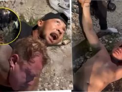 Petarung MMA Piting Bule Mabuk di Bali, Ini Kronologi Lengkap yang Bikin Netizen Geram!