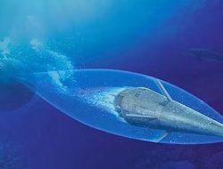 Rudal Hoot Iran: Senjata Bawah Laut 200 Kg yang Bikin Kapal Musuh Hancur Sekejap